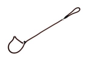 Freedog pruun kaelarihm-jalutusrihm koerale 8mm x 120cm