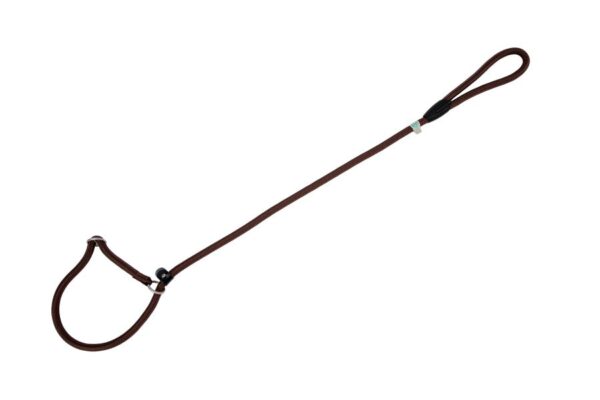 Freedog pruun kaelarihm-jalutusrihm koerale 8mm x 120cm