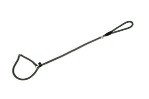 Freedog roheline kaelarihm-jalutusrihm koerale 13mm x 120cm