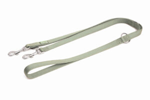 Freedog salveiroheline nailonist treeningrihm koerale 2x200cm