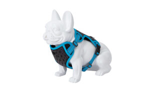 Freedog Boreal kaprisinised traksid koerale 15mm 34-63cm
