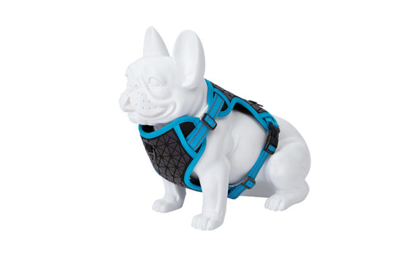 Freedog Boreal kaprisinised traksid koerale 25mm 45-90cm
