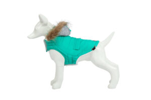 Freedog ECO Abrigo türkiissinine jope koerale 20cm