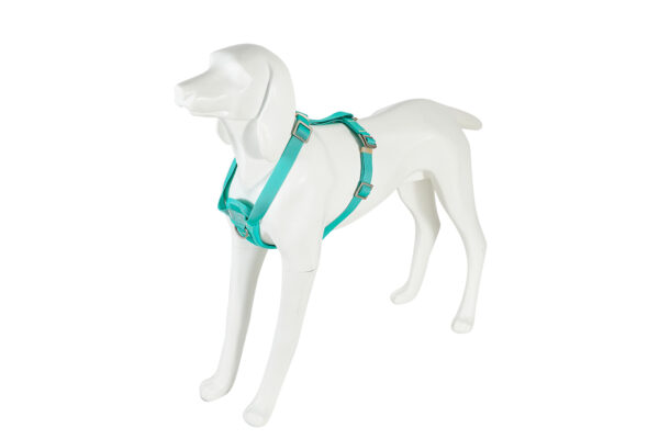 Freedog Saferide türkiissinised turvatraksid koerale S 20mm x 32/50cm