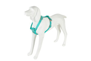 Freedog Saferide türkiissinised turvatraksid koerale M 25mm x 43/58cm