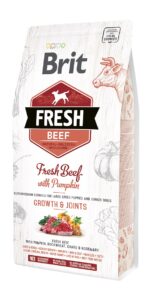Brit Fresh Beef & Pumpkin Puppy Large Bones & Joints koeratoit 2,5 kg