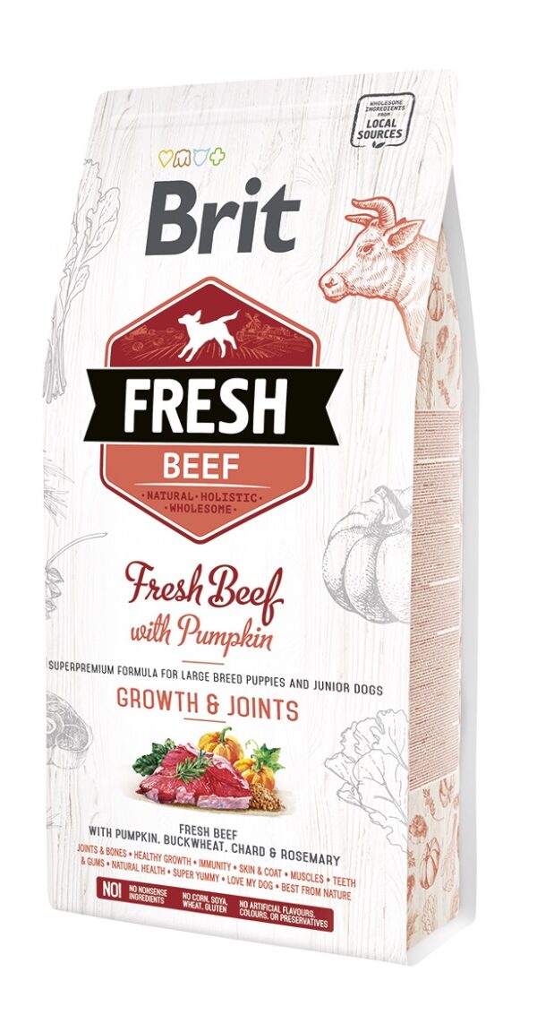Brit Fresh Beef & Pumpkin Puppy Large Bones & Joints koeratoit 2,5 kg