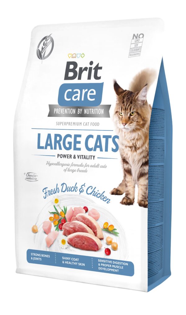 Brit Care Cat Grain-Free Large Cats Power Vitality kassitoit 2 kg